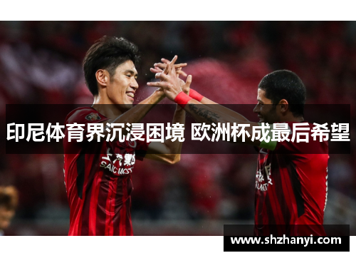 印尼体育界沉浸困境 欧洲杯成最后希望